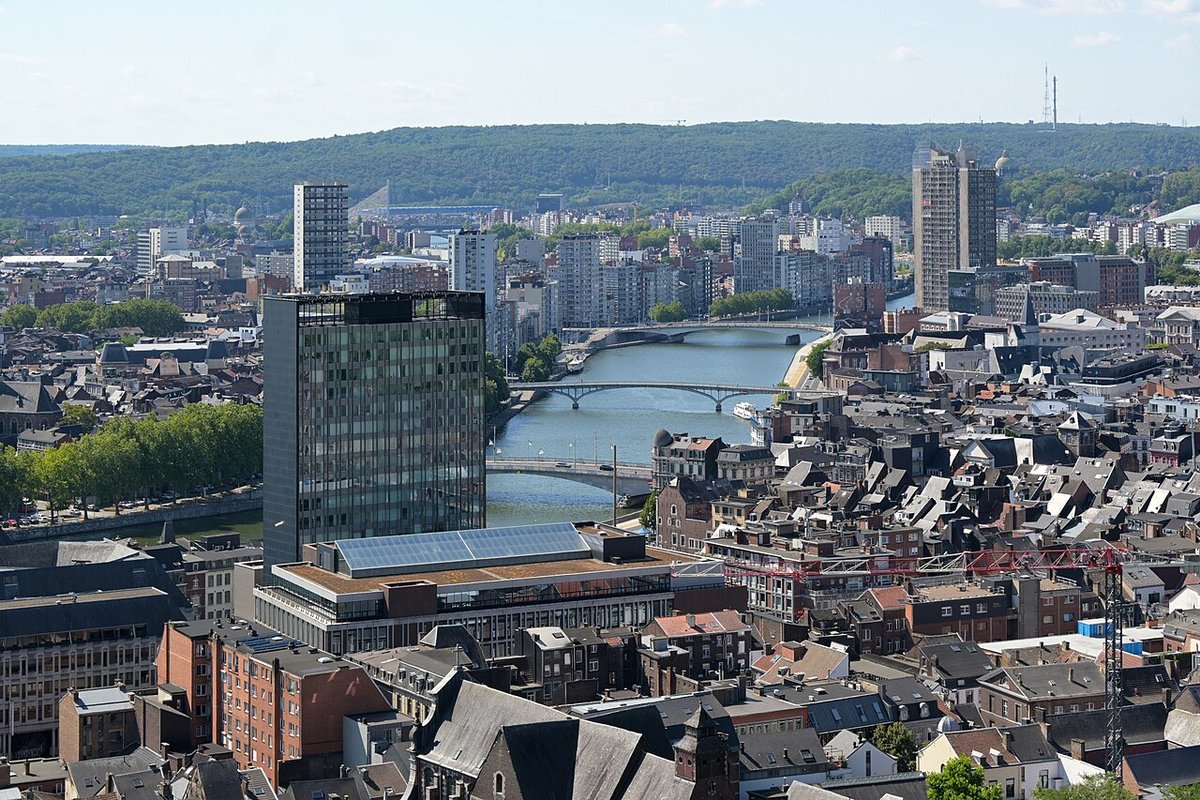Vue du centre de Liège et de ses toits depuis les coteaux de la Citadelle
